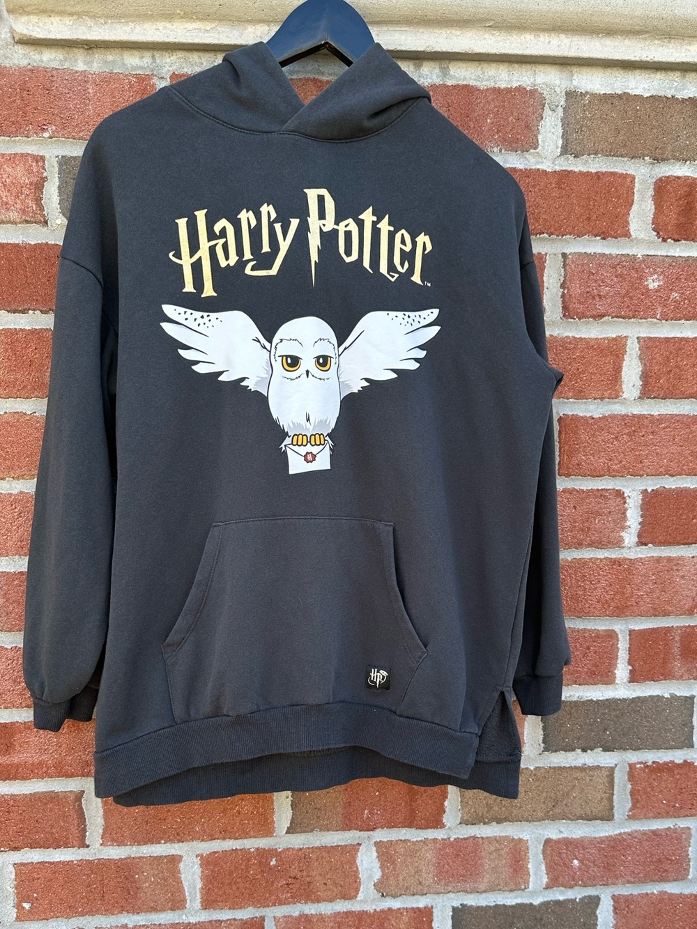 Harry Potter X H&M Hedwig Graphic Hoodie in Gray Big Girl Size 18
